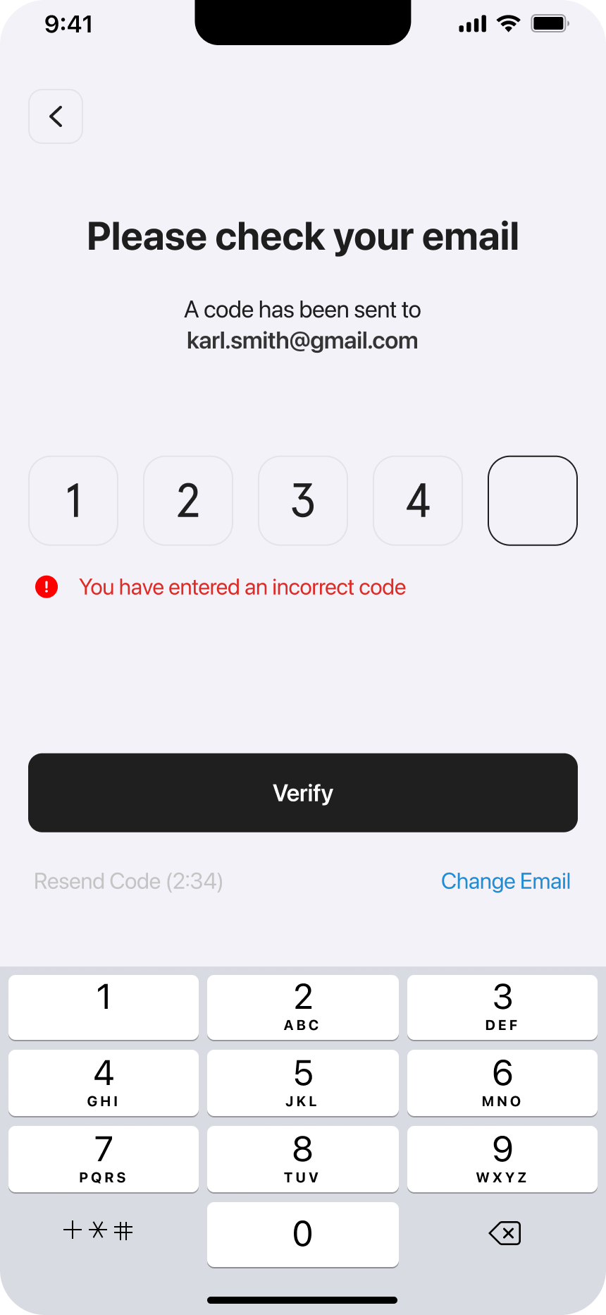 Email Verification Screen